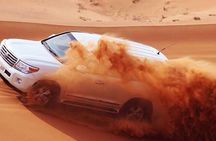 Dubai Red Dune Evening Safari Tour 