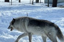 Wildlife Conservation Center & Portage Valley Glaciers