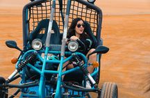 Tour the Paracas National Reserve in a MiniBuggy