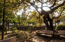 Hai Phong Highlights: Cultural & Historical Walking Tour