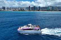 Sunset Cruise & Whale Watching from Oahu