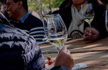 Private Vineyard and Wine Testing Tour From Guanajuato