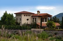 Private Vineyard and Wine Testing Tour From Guanajuato