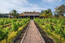 Private Vineyard and Wine Testing Tour From Guanajuato