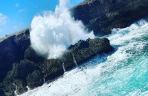 Full day Guided Tour in Barbados
