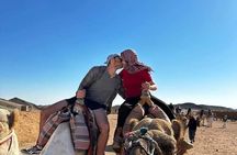 Desert Safari