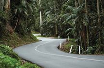 Mount Tamborine Winery Tour with Lunch from Brisbane