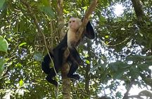 2 Hours Private Guided Hiking Experience to El Miro in Jaco