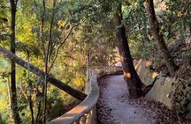 2 Hours Private Guided Hiking Experience to El Miro in Jaco