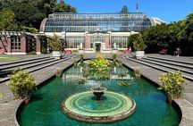  Auckland Best Top 5 Spots Half day Tour 