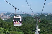 Pinglin Tea Culture & Maokong Day Tour from Taipei
