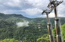 Pinglin Tea Culture & Maokong Day Tour from Taipei