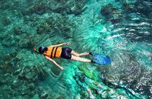Bali Snorkeling 2 Spots & ATV Quad Bike with Lunch & Transfer