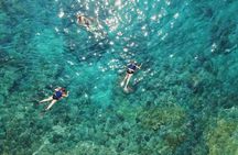 Bali Snorkeling 2 Spots & ATV Quad Bike with Lunch & Transfer