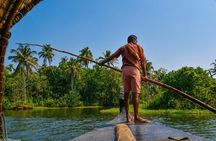 Half Day Village Houseboat Tour (from Cruise terminal in Kochi)