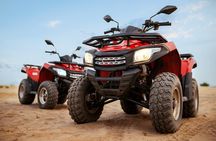 Quad Safari, Parasail, Glass Boat Experience in Sharm El Sheikh 