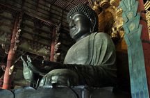 Nara Highlight Private Walking Tour with Licensed Guide