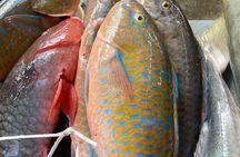 5 Hour Private Customize Tour of Mahe, Seychelles