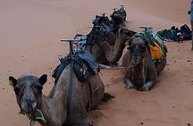 3 Days Luxury Sahara Tour From Marrakesh
