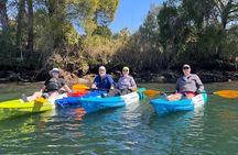 3 Hour Guided Single Kayak Adventure