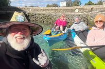 3 Hour Guided Single Kayak Adventure