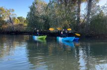 3 Hour Guided Tandem Kayak Adventure