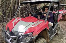 Puerto Rico El Yunque Rainforest UTV for 2 to 4 PERSON 