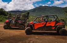 El Yunque Rainforest Puerto Rico UTV 1 or 2 Persons Same Price 