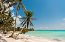 Saona full day with Food and drinks