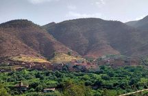 Marrakech: Ourika Valley - Waterfalls & Local Berber Lunch