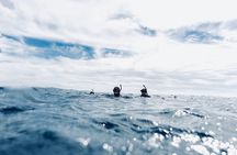 Snorkeling in San Jose del Cabo