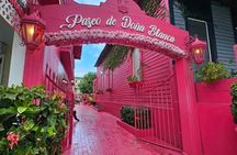 Puerto plata city tour with local lunch with countryside 
