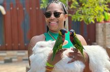 Bamboo Rafting Limestone Massage, Exotic bird and Herb Farm Tour