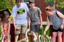 Bamboo Rafting Limestone Massage, Exotic bird and Herb Farm Tour