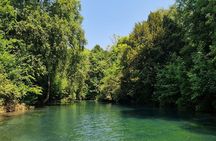 Romantic Surrey Experience with Scenic Views & Wine Tasting