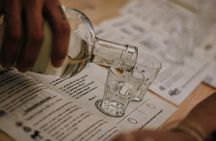 Tour of Mezcalerias in the City