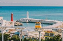 Private Busan Tour - Explore Landmarks with a Licensed Guide