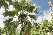 Private Full Day Mahe Island Tour 5-7 persons
