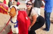 Private Half Day Desert Safari