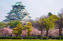 PRIVATE 6hr, Food tour from Osaka Castle, Kuromon, Dotonbori. 