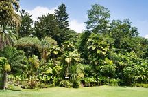 Private full day Mahe island tour 8-10 persons