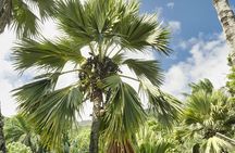 Private full day Mahe island tour 8-10 persons