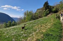 Guided Hiking tour on the Lands of Steim Farm in Vik, Norway