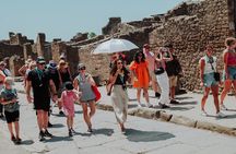 Pompeii & Herculaneum Guided Tour - High Speed Train from Rome 