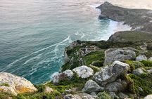 Cape Peninsula Full Day Private Experience 
