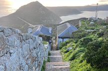 Cape Peninsula Full Day Private Experience 