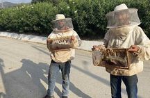 Gastronomy Tour from Chania - Olive Oil, Wine, Cheese & Honey
