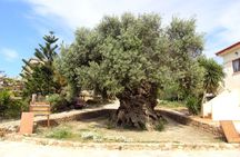 Gastronomy Tour from Chania - Olive Oil, Wine, Cheese & Honey
