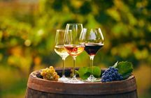 Gastronomy Tour from Chania - Olive Oil, Wine, Cheese & Honey