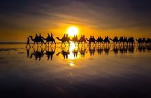 Sunset Camel Ride on Achakkar Beach